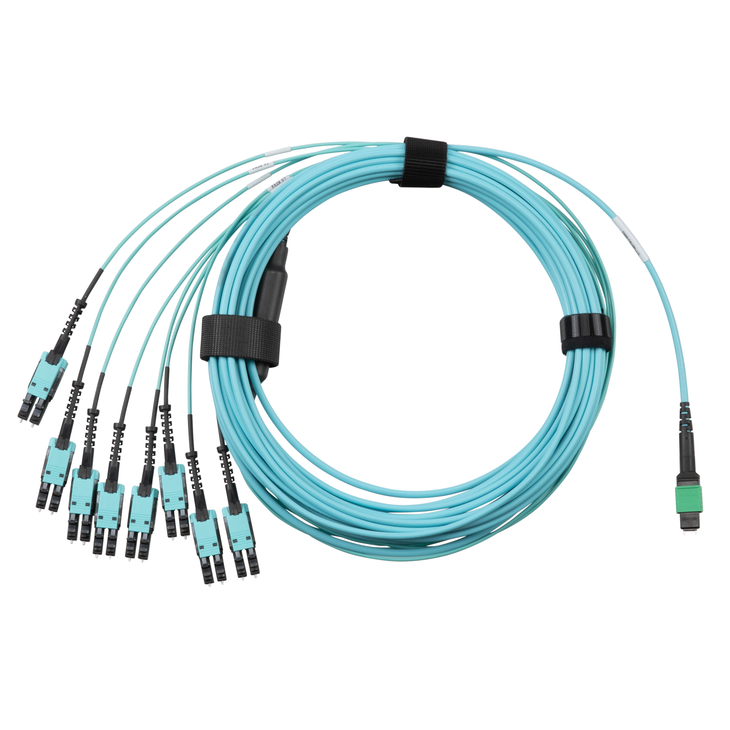 A picture of the OM4 16-Fiber Harness.