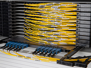 Fiber patch cords with rapidid labels deployed in an optical distribution frame